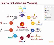 1 Cổ Phần Của Vingroup Bao Nhiêu Tiền