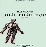 Giải Phẫu Học Pdf Tập 2