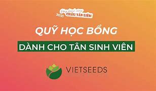 Học Bổng Vietseeds 2021 Là Gì Học Phí Là Bao Nhiêu Tiền