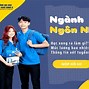 Nhập Môn Ngành Ngôn Ngữ Anh Tiếng Anh Là Gì