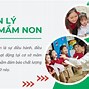 Quản Lý Chuyên Môn Mầm Non