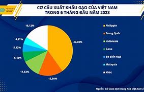 Thị Trường Xuất Khẩu Gạo 2021 Tại Việt Nam Hiện Nay